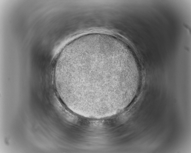 X0000103901504200810171601