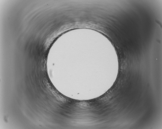 X0000103901507200810171601