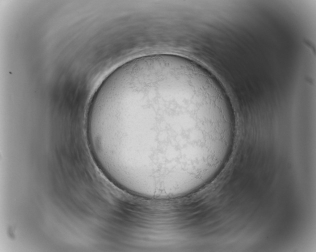 X0000103901508200810171601