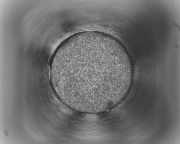 X0000103901509200810171601