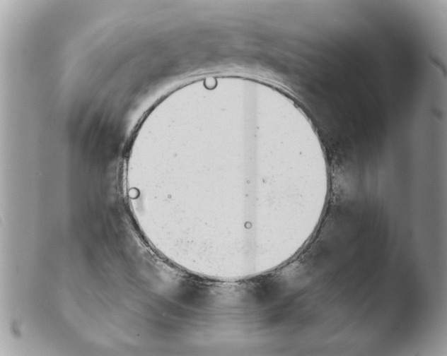 X0000103901510200810171601