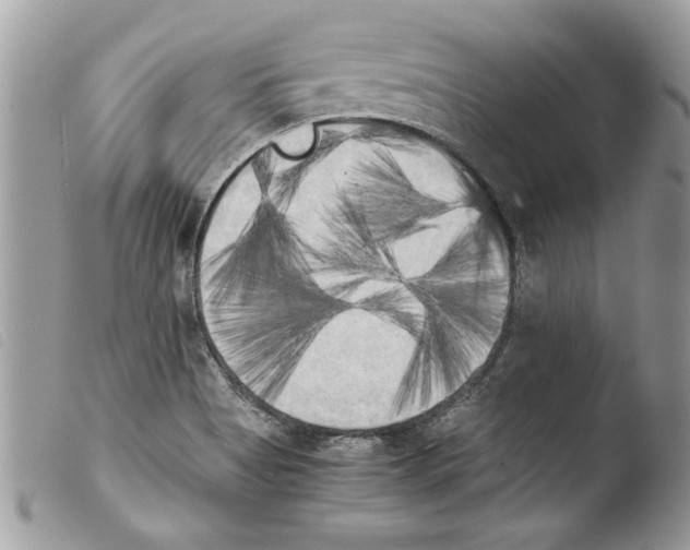 X0000103901513200810171601