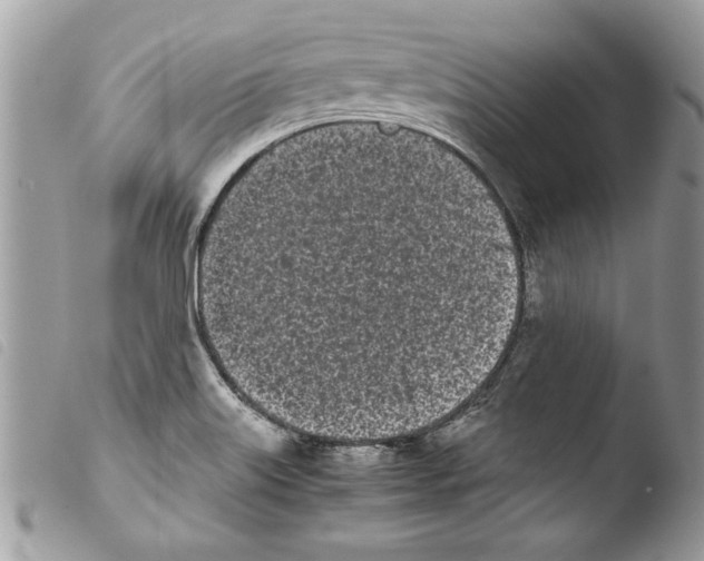 X0000103901515200810171601