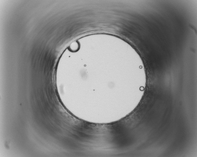 X0000103901516200810171601