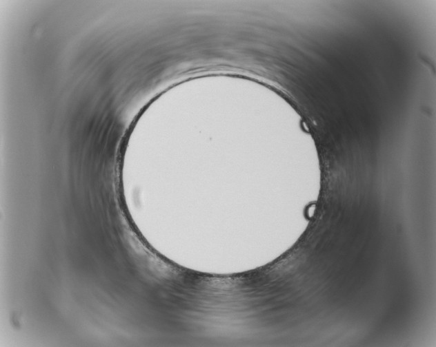 X0000103901518200810171601