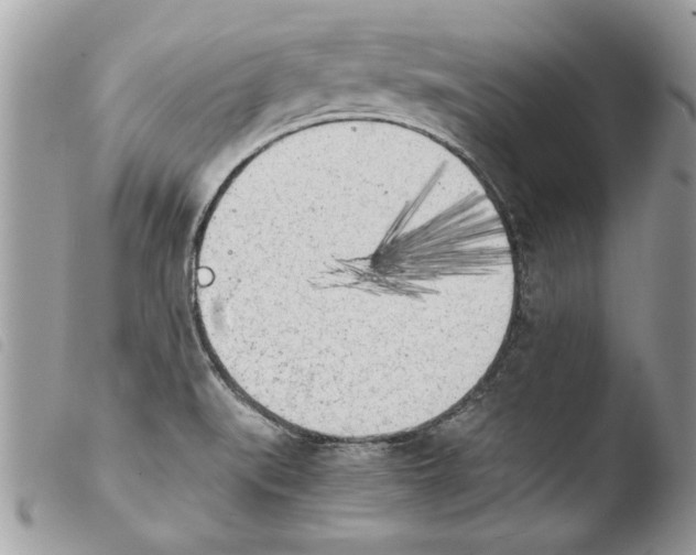 X0000103901519200810171601