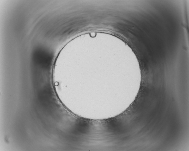 X0000103901520200810171601