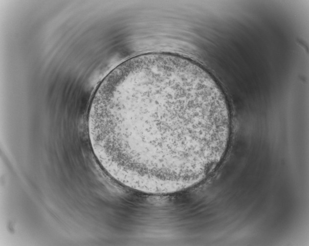 X0000103901521200810171601