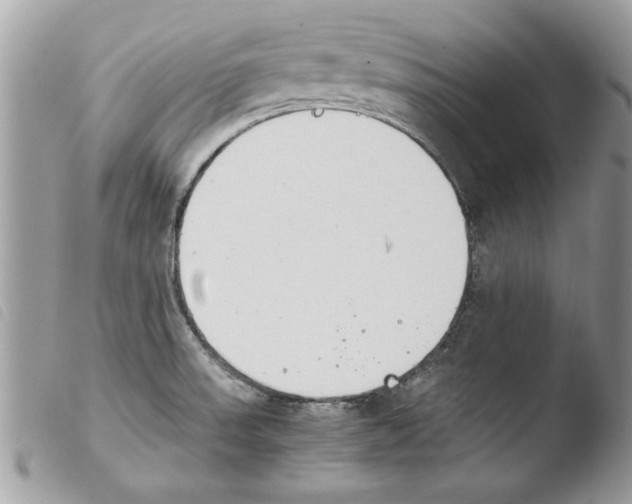 X0000103901523200810171601