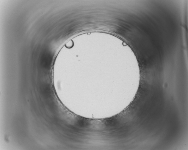 X0000103901524200810171601