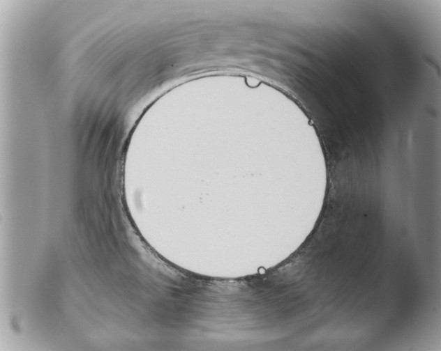 X0000103901526200810171601