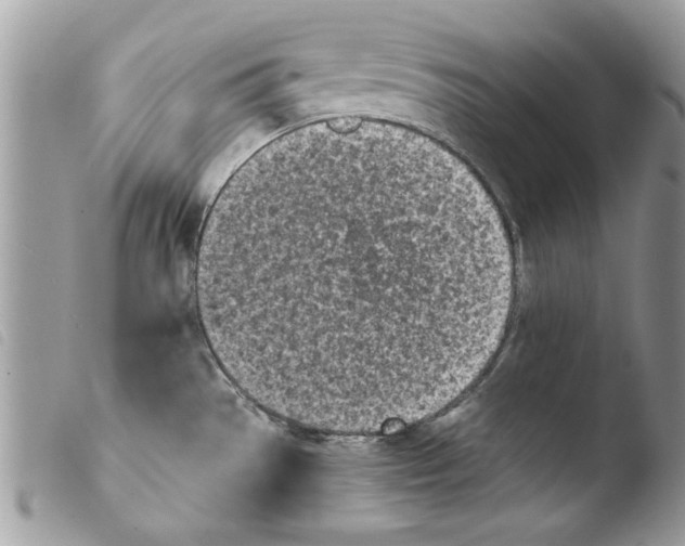 X0000103901529200810171601