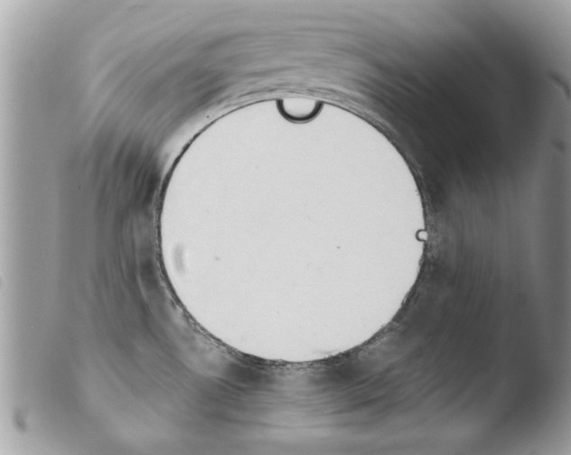 X0000103901530200810171601