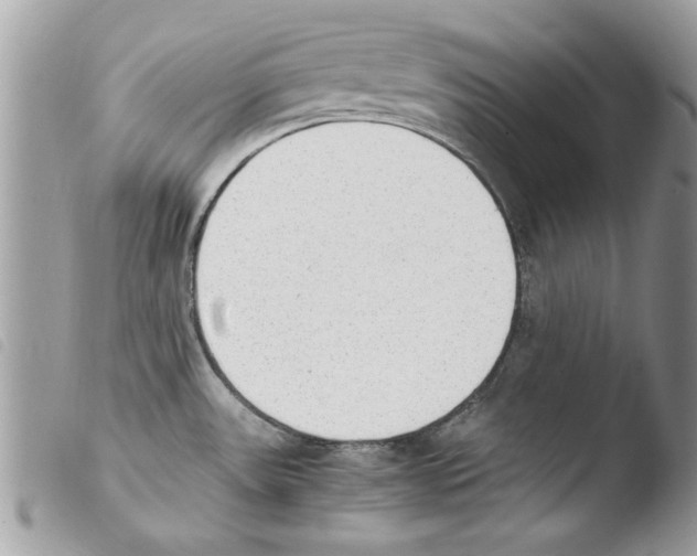 X0000103901531200810171602