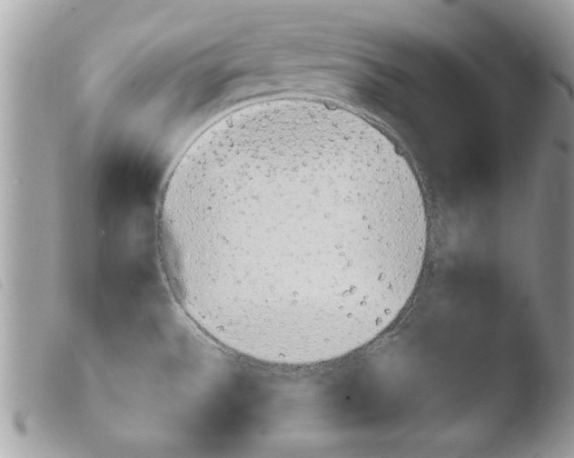 X0000103901532200810171602