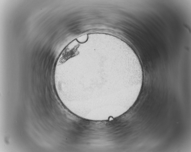 X0000103901533200810171602