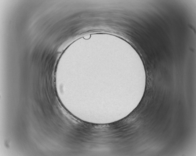 X0000103901535200810171602