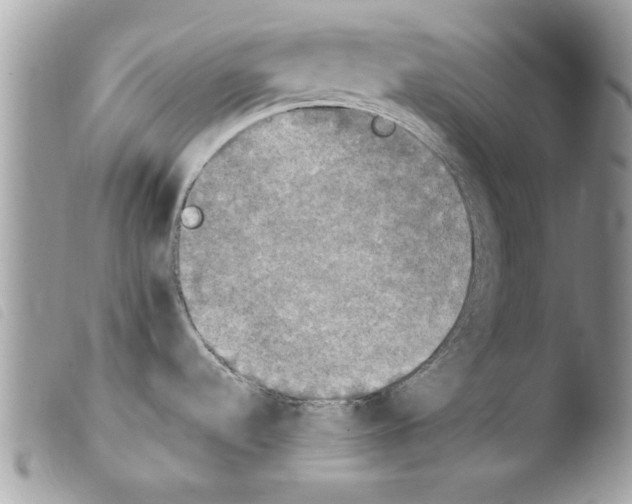 X0000103901536200810171602