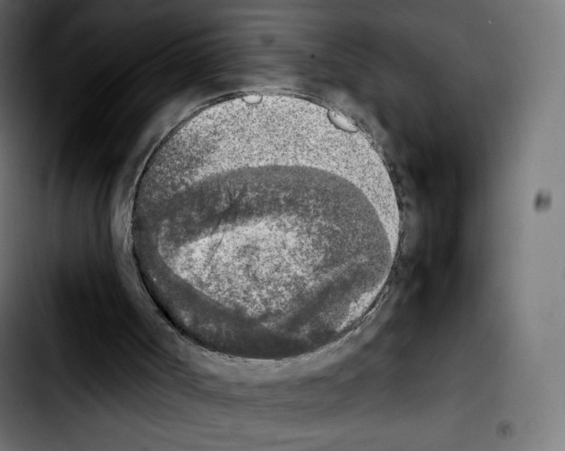 X0000103900002200810311420