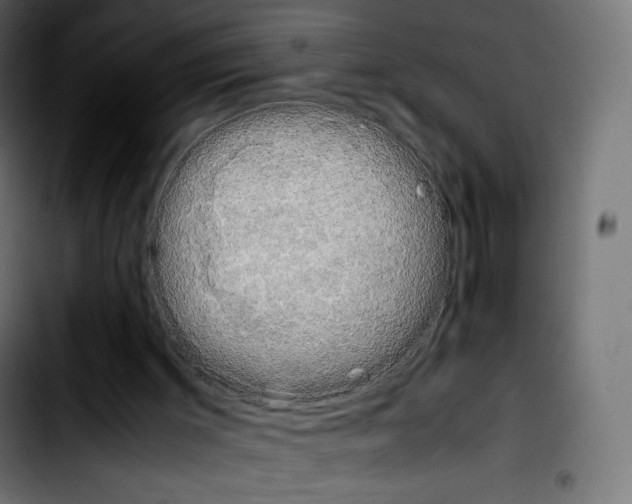 X0000103900003200810311420