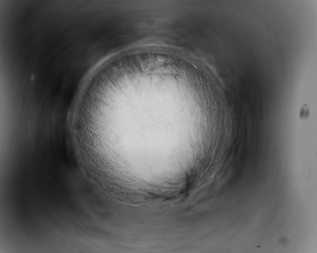 X0000103900004200810311420