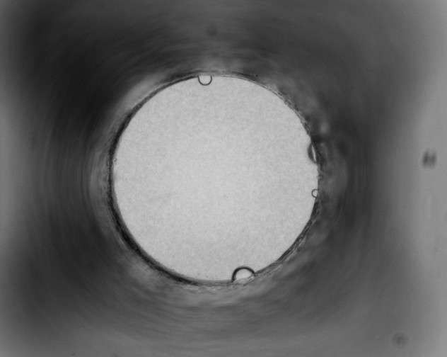 X0000103900005200810311420