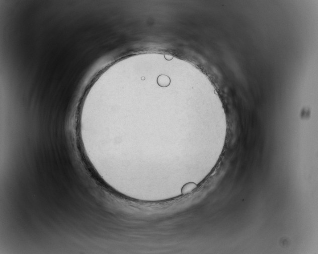 X0000103900006200810311420