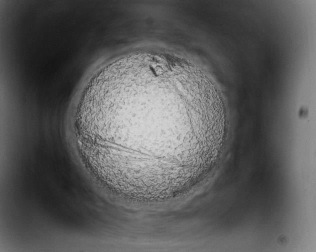 X0000103900007200810311420