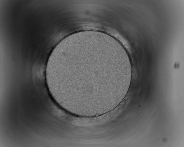 X0000103900009200810311420