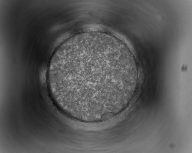 X0000103900010200810311420