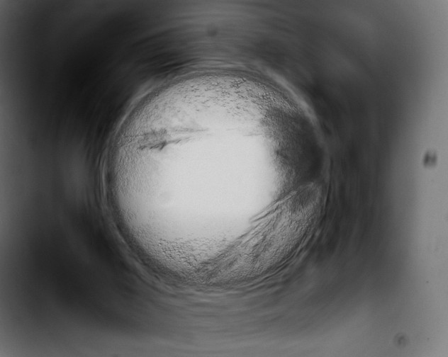 X0000103900011200810311420