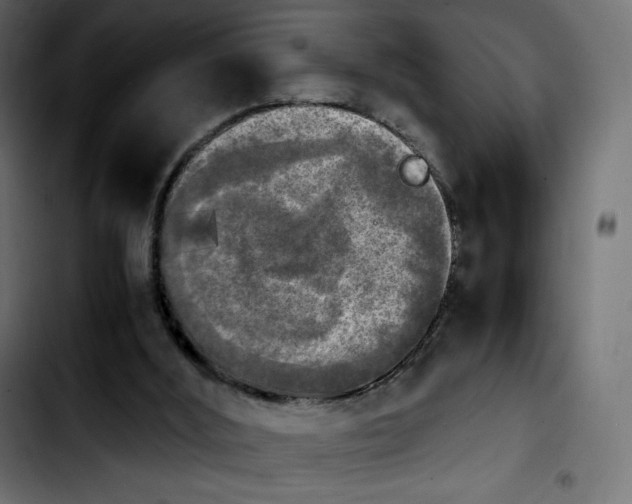 X0000103900012200810311420