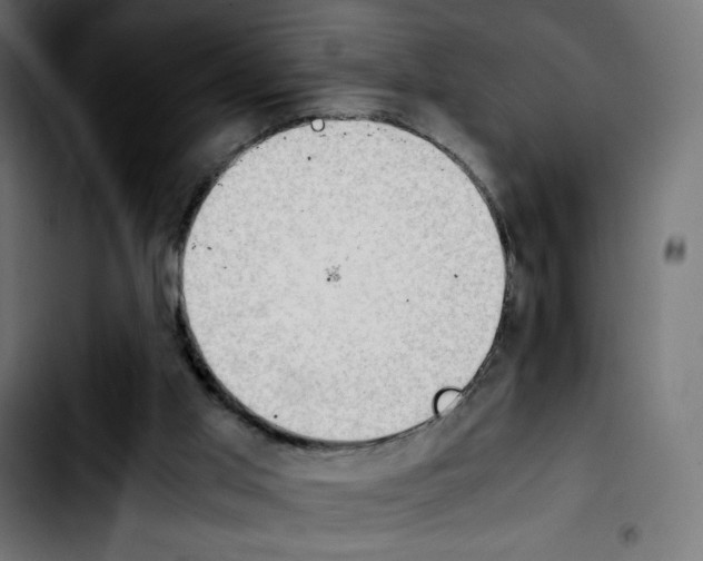 X0000103900013200810311420