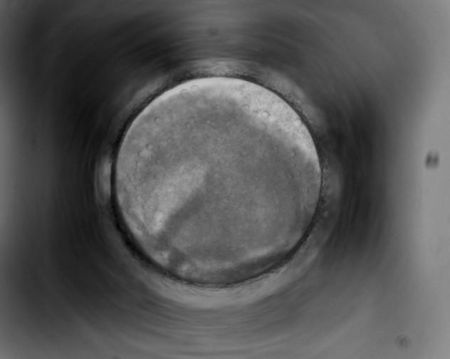 X0000103900014200810311420