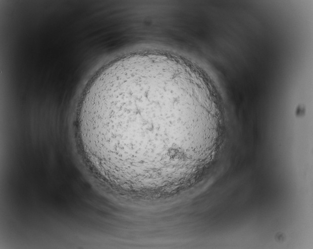 X0000103900015200810311420