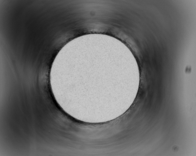 X0000103900017200810311420