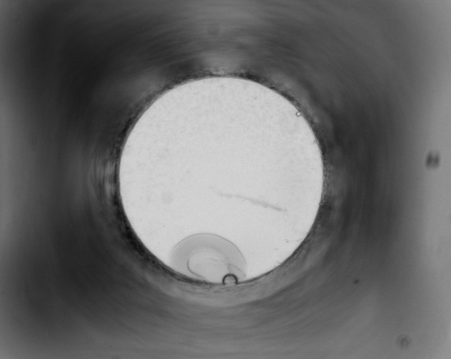 X0000103900019200810311420