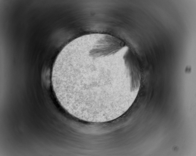 X0000103900020200810311420