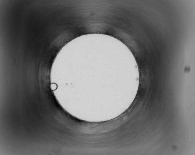 X0000103900021200810311420