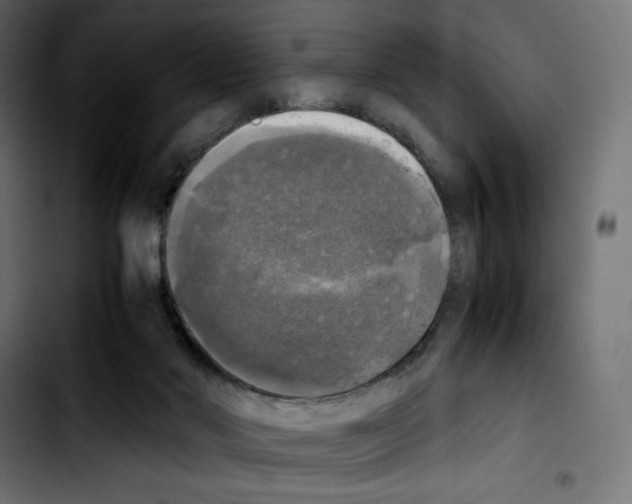 X0000103900022200810311420