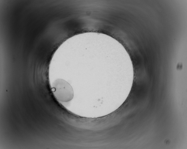 X0000103900023200810311420