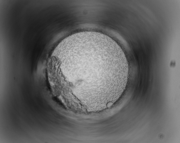 X0000103900024200810311420