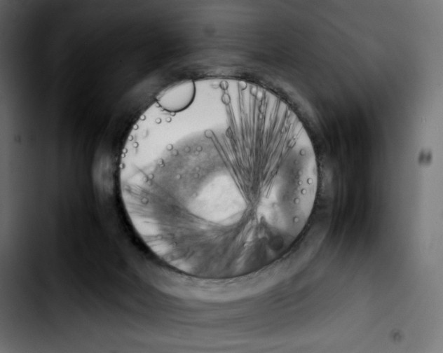 X0000103900026200810311420