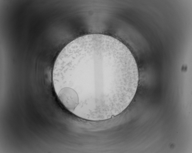 X0000103900027200810311420