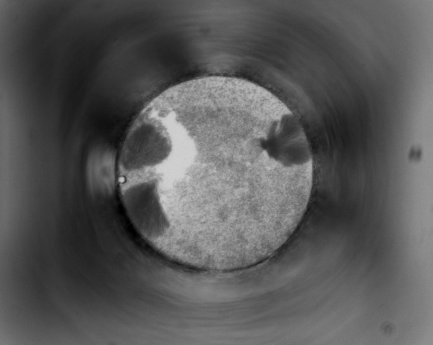 X0000103900028200810311419