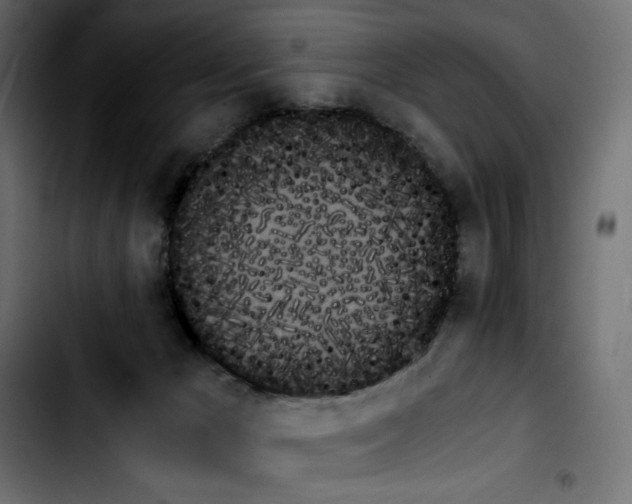 X0000103900029200810311419