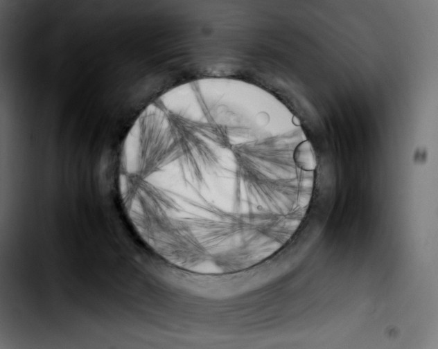 X0000103900030200810311419