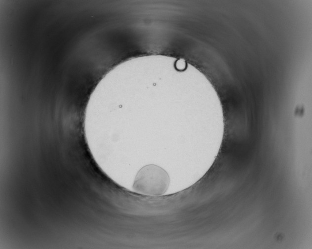 X0000103900031200810311419