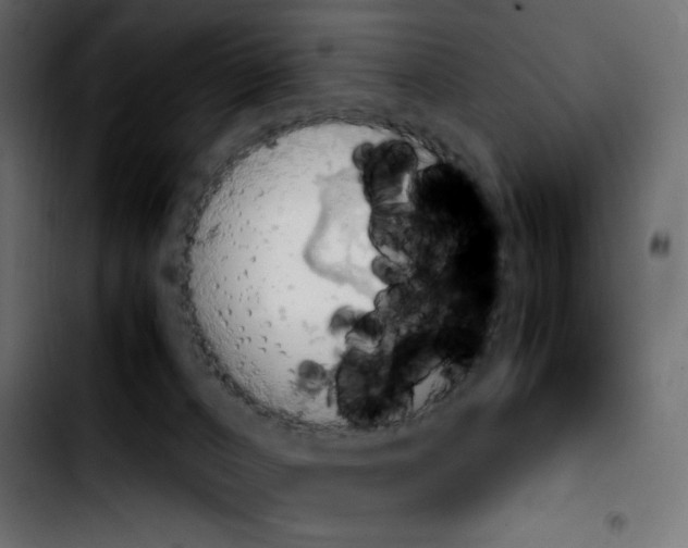 X0000103900032200810311419