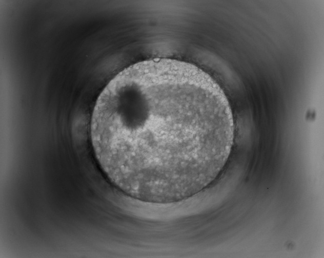 X0000103900034200810311419